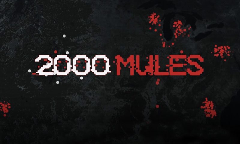 2000 Mules on One America News Network