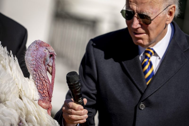 Biden pardons turkeys ahead of Thanksgiving Day