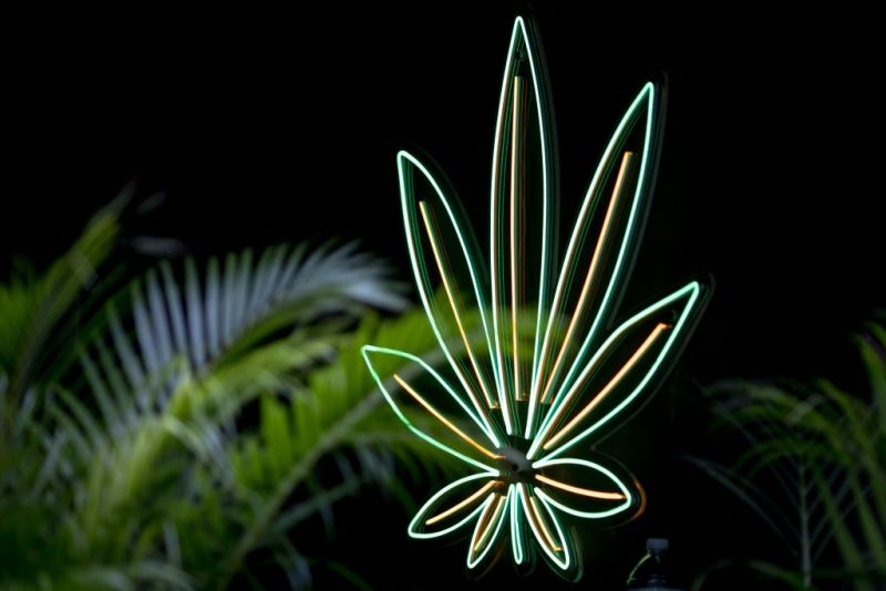 This picture shows a cannabis leaf sign illuminated outside a dispensary in Bangkok on November 22, 2022. (Photo by Jack TAYLOR / AFP) (Photo by JACK TAYLOR/AFP via Getty Images)
