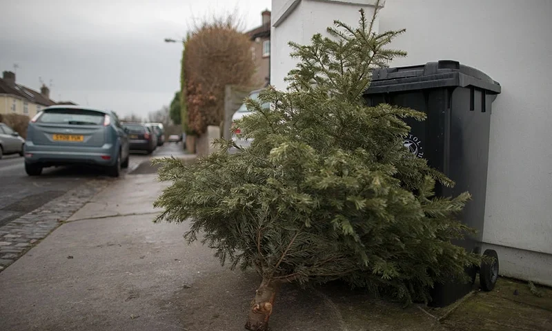 A discarded Christmas tree waits to be collected outside a residential property on January 6, 2017 in Bristol, England. Following the festive period many councils in UK are struggling to get on top of the huge amount of residential recycling and refuse that has been generated. In Bristol, the city's waste company, Bristol Waste has described the levels as being 'unprecedented' and the cause of some delays in collection. (Photo by Matt Cardy/Getty Images)