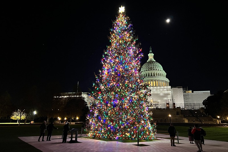 Visitors look at the US Capitol Christmas tree, a Red Spruce from Pisgah Ranger National Forest in North Carolina, on Capitol Hill in Washington, DC, on December 5, 2022. (Photo by Daniel SLIM / AFP) (Photo by DANIEL SLIM/AFP via Getty Images)
