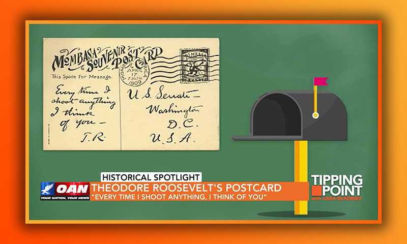Theodore Roosevelt's Postcard