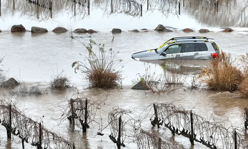 WINDSOR, CALIFORNIA - JANUARY 09: In an aerial view, a car is submerged in floodwater after heavy rain moved through the area on January 09, 2023 in Windsor, California. The San Francisco Bay Area continues to get drenched by powerful atmospheric river events that have brought high winds and flooding rains. The storms have toppled trees, flooded roads and cut power to tens of thousands of residents. Storms are lined up over the Pacific Ocean and are expected to bring more rain and wind through the end of the week. (Photo by Justin Sullivan/Getty Images)