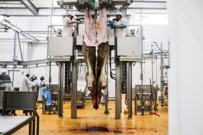 Kids clean slaughterhouses – One America News Network