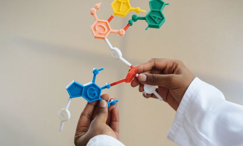 Crop chemist holding in hands molecule model. Photo by RF._.studio.