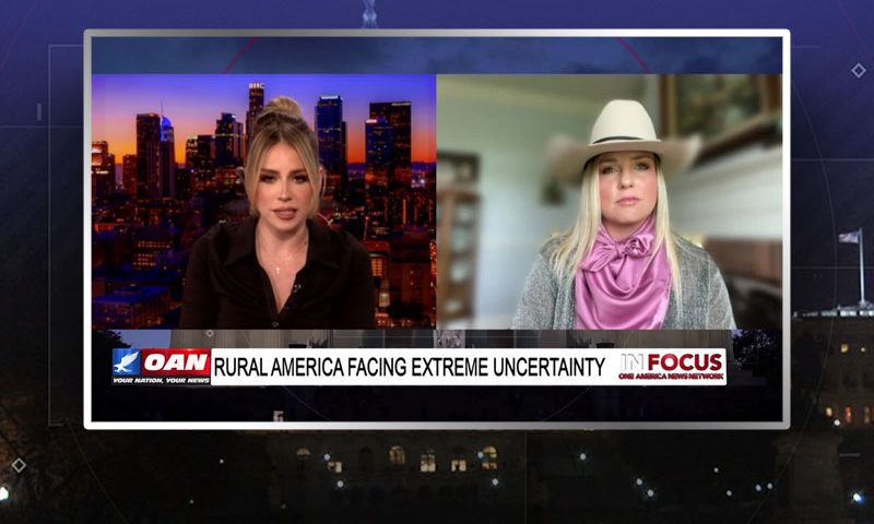 Video still from Stephanie Nash's interview with In Focus on One America News Network
