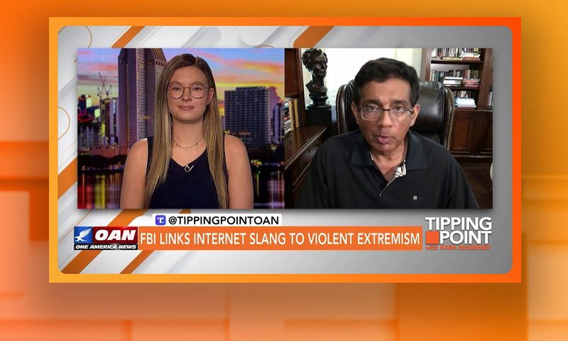 Video still from Dinesh D'Souza's interview with Tipping Point on One America News Network