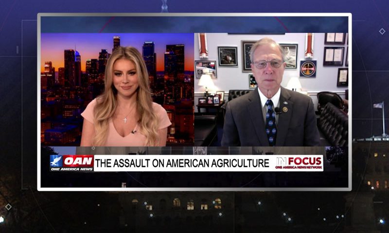 Video still from Rep. Brian Babin's interview with In Focus on One America News Network
