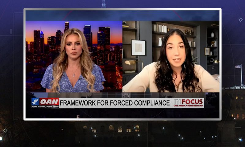 Video still from Tracy Beanz's interview with In Focus on One America News Network