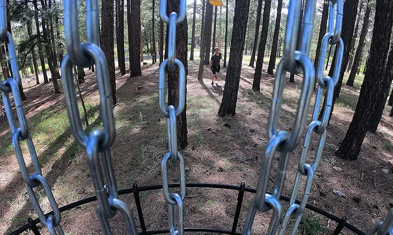 FLAGSTAFF, ARIZONA - JUNE 04: Eric Aguirre competes in the Highlander Classic putting competition at the Fort Tuthill Disc Golf Course on June 04, 2022 in Flagstaff, Arizona. Disc golf is one of the fastest growing sports in America, with a 33% increase in games played from 2019 to 2020 alone. (Photo by Christian Petersen/Getty Images)