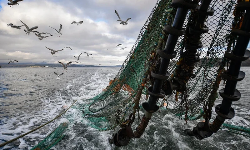 GREENOCK, SCOTLAND - MARCH 05: Seagulls follow the Guide Me prawn trawler in Loch Long on March 5, 2019 in Greenock, Scotland. Scotland’s live seafood industry is facing the probability of extra paperwork at border controls, if the UK crashes out of the European Union without any trade deal. The costs could potentially run into many millions of pounds each year even if the European Union’s stringent requirements for certificates are disregarded by transporters. (Photo by Jeff J Mitchell/Getty Images)