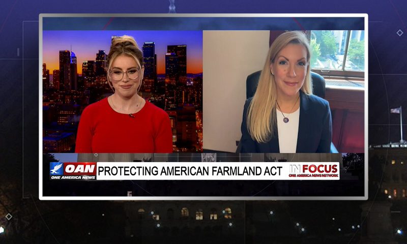 Video still from Beth Van Duyne's interview with In Focus on One America News Network