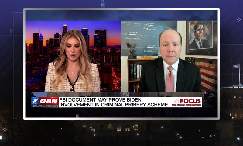 Video still from Ted Harvey's interview with In Focus on One America News Network