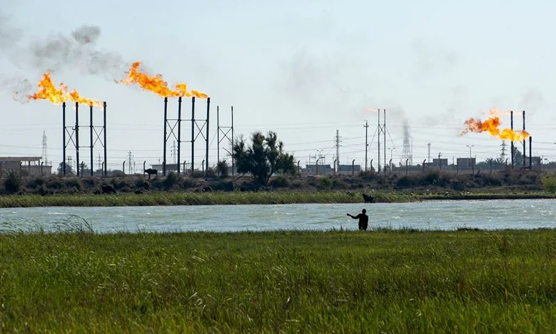 An Iraqi man herds his water buffalos on the Shatt al-Arab river next to the Nahr Bin Omar oil field and facility near Iraq's southern port city of Basra on April 4, 2023. - Major oil powers led by Saudi Arabia announced a surprise production cut of more than one million barrels per day on April 2, calling it a "precautionary" move aimed at stabilising the market. (Photo by Hussein FALEH / AFP) (Photo by HUSSEIN FALEH/AFP via Getty Images)
