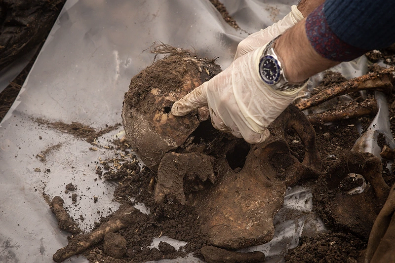 450 skeletons found in Poland were desecrated, with coins found in their mouths.
