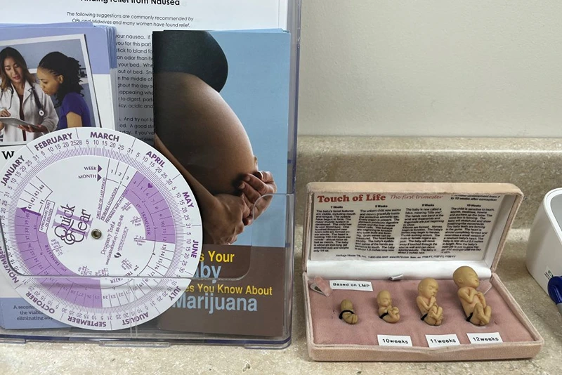 A model of human embryos during the early stages of pregnancy is displayed at a pregnancy crisis center run by the Christian faith-based non-profit Wellspring Life Ministry in Severna Park, Maryland, on June 13, 2023. The US Supreme Court's decision last year to scrap the landmark Roe v Wade decision, which guaranteed a constitutional right to a termination, was a landmark victory for the movement. But then came the next challenge as the court placed reproductive rights in the hands of individual states -- and some states quickly banned the procedure, but others moved to protect it. (Photo by Maria DANILOVA / AFP) (Photo by MARIA DANILOVA/AFP via Getty Images)