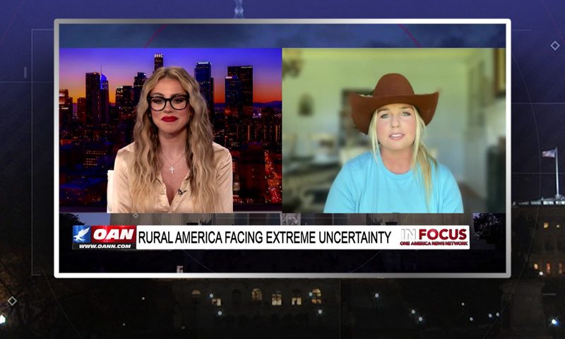 Video still from Stephanie Nash's interview with In Focus on One America News Network