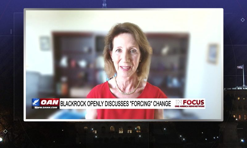 Video still from Diane Furchtgott-Roth's interview with In Focus on One America News Network