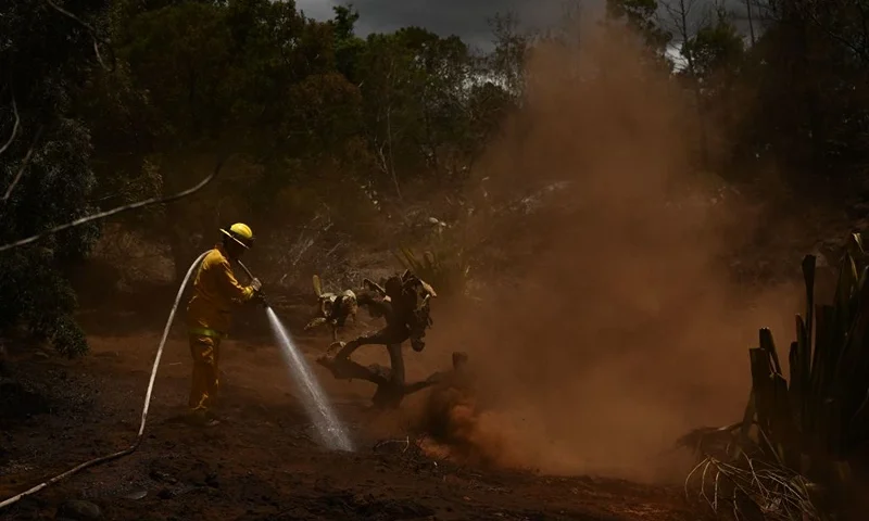 TOPSHOT - A Maui County firefighter uses a hose line to extinguish a fire near homes during the upcountry Maui wildfires in Kula, Hawaii on August 13, 2023. The death toll in Hawaii from the deadliest US wildfire in more than a century was expected to cross the 100-mark Sunday August 13, fueling criticism that government inaction contributed to the heavy loss of life. Officials say 93 people are known to have died, but warned the figure was likely to rise as recovery crews with cadaver dogs continued the grim task of searching burned out homes and vehicles in Lahaina. (Photo by Patrick T. Fallon / AFP) (Photo by PATRICK T. FALLON/AFP via Getty Images)