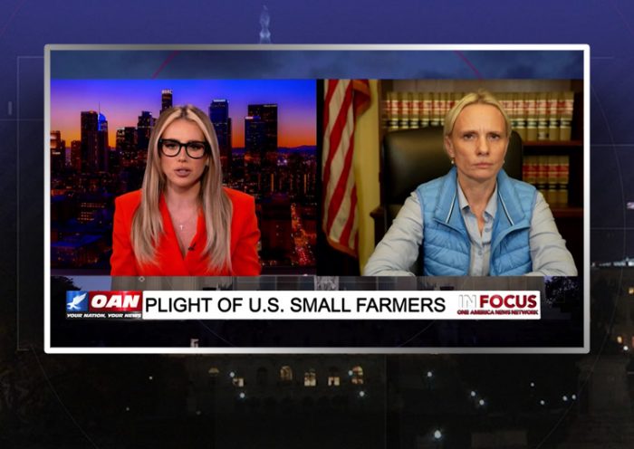 Video still from Victoria Spartz's interview with In Focus on One America News Network