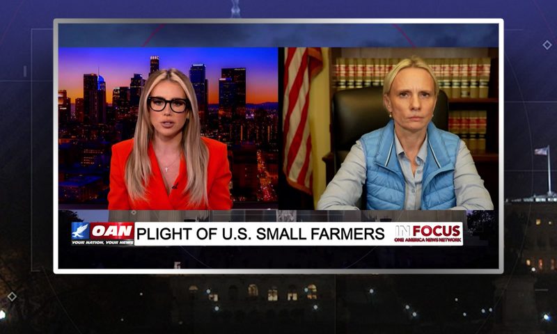 Video still from Victoria Spartz's interview with In Focus on One America News Network
