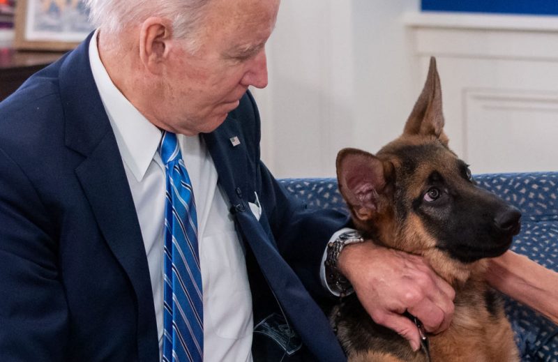 Biden’s dog ousted from White House after biting incidents.