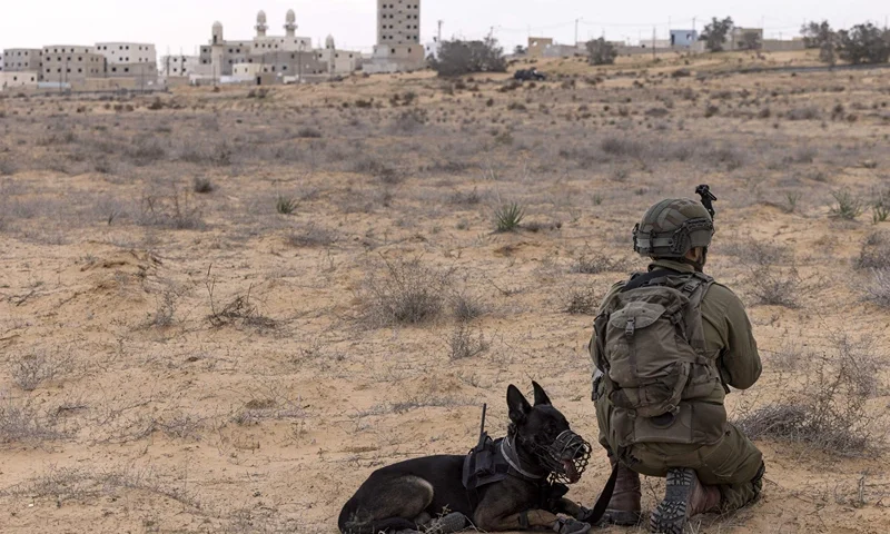 ISRAEL-PALESTINIAN-GAZA-CONFLICT-ARMY In this picture taken on January 16, 2023, an Israeli army soldier part of a K-9 unit takes part in a drill at an army urban warfare training facility simulating Gaza City, at the Tze'elim training centre in the southern Negev desert. (Photo by MENAHEM KAHANA / AFP) (Photo by MENAHEM KAHANA/AFP via Getty Images)