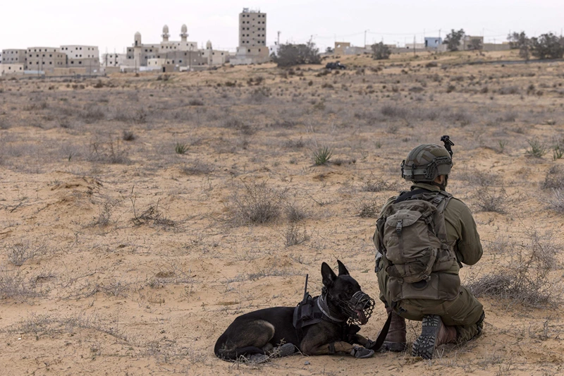 ISRAEL-PALESTINIAN-GAZA-CONFLICT-ARMY
In this picture taken on January 16, 2023, an Israeli army soldier part of a K-9 unit takes part in a drill at an army urban warfare training facility simulating Gaza City, at the Tze'elim training centre in the southern Negev desert. (Photo by MENAHEM KAHANA / AFP) (Photo by MENAHEM KAHANA/AFP via Getty Images)