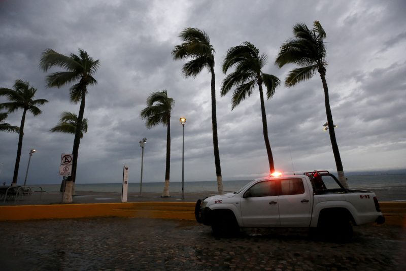 TOPSHOT - Palm trees withstand the wind in Puerto Vallarta, Jalisco State, Mexico, on October 10, 2023, as Hurricane Lidia came ashore near this popular beach resort in the Mexican Pacific coast. Hurricane Lidia made landfall Tuesday on Mexico's Pacific coast as an 