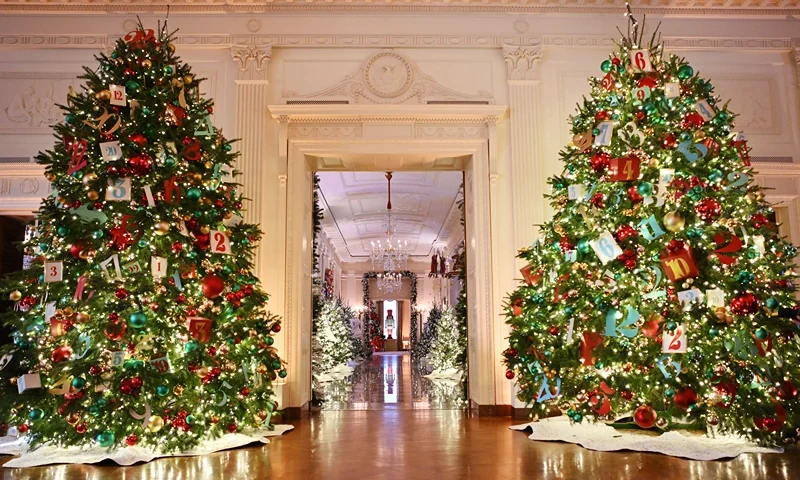 US-POLITICS-HOLIDAY-DECORATIONS Christmas trees are seen in the East Room looking towards the Cross Hall during the media preview for the 2023 Holidays at the White House in Washington, DC on November 27, 2023. The theme for the 2023 White House holiday decorations is The "Magic, Wonder, and Joy" of the Holidays. (Photo by Mandel NGAN / AFP) (Photo by MANDEL NGAN/AFP via Getty Images)