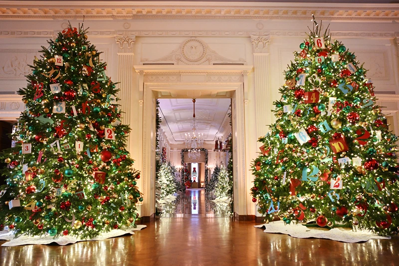 US-POLITICS-HOLIDAY-DECORATIONS
Christmas trees are seen in the East Room looking towards the Cross Hall during the media preview for the 2023 Holidays at the White House in Washington, DC on November 27, 2023. The theme for the 2023 White House holiday decorations is The "Magic, Wonder, and Joy" of the Holidays. (Photo by Mandel NGAN / AFP) (Photo by MANDEL NGAN/AFP via Getty Images)