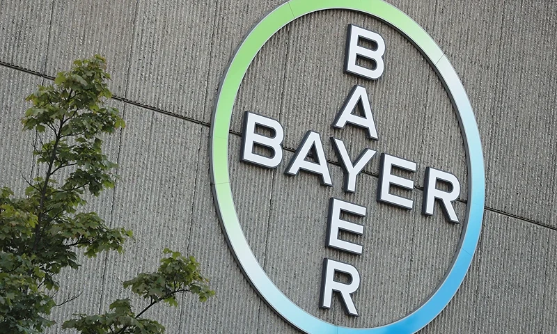 BERLIN, GERMANY - SEPTEMBER 14: The logo of German pharmaceuticals and chemicals giant Bayer stands over Bayer corporate offices on September 14, 2016 in Berlin, Germany. The company confirmed earlier today that it has sealed the deal to buy Monsanto for USD 66 billion. (Photo by Sean Gallup/Getty Images)