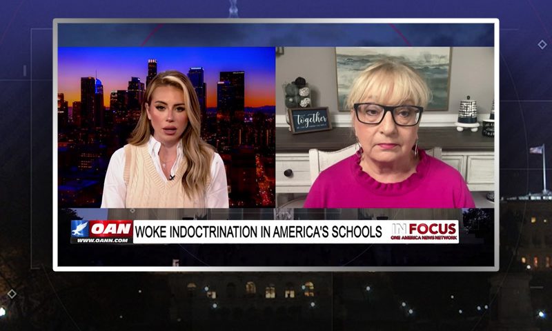 Video still from In Focus on One America News Network showing a split screen of the host on the left side, and on the right side is the guest, Karen England.