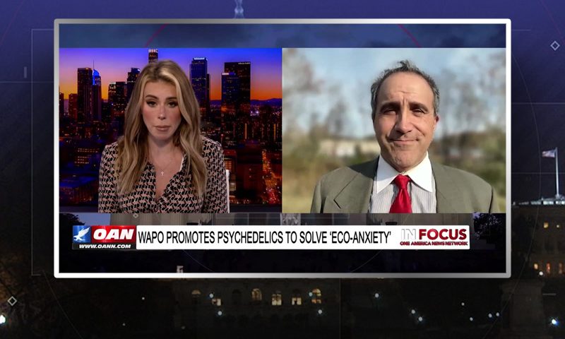 Video still from In Focus on One America News Network showing a split screen of the host on the left side, and on the right side is the guest, Marc Morano.
