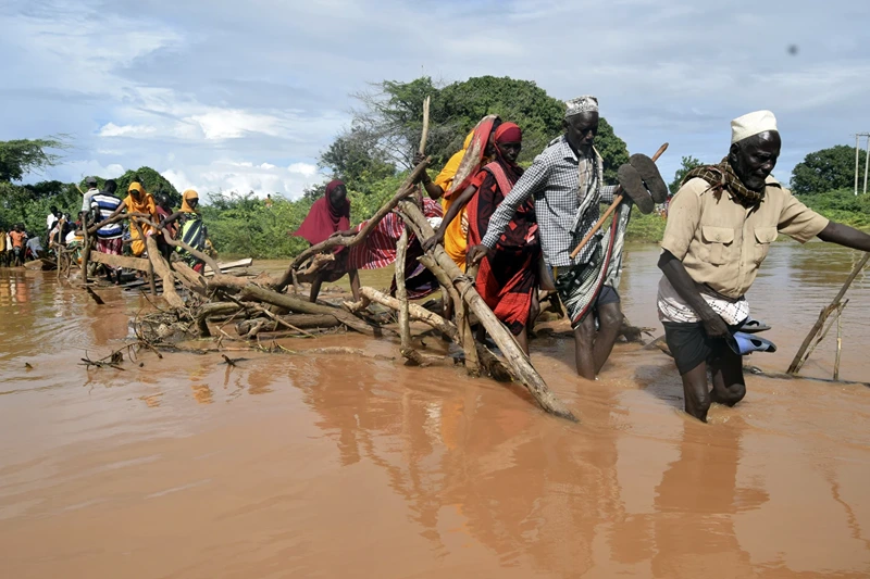 Residents of Chamwana Muma village walk through flood water after using a makeshift bridge to cross the swollen River Tana, in Tana Delta, , on Wednesday Nov. 15, 2023. Unrelenting rainfall across Kenya's northern counties and the capital, Nairobi, has led to widespread flooding, Kenya displacing an estimated 36,000 people and killing 46 people since the beginning of the rainy season less than a month ago. (AP Photo/Gideon Maundu)