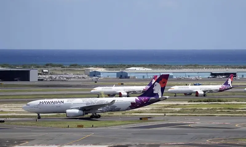 Hawaiian Airlines airplanes sit idle on the runway at the Daniel K. Inouye International Airport in Honolulu, Hawaii, U.S. April 28, 2020. Picture taken April 28, 2020. REUTERS/Marco Garcia/File Photo