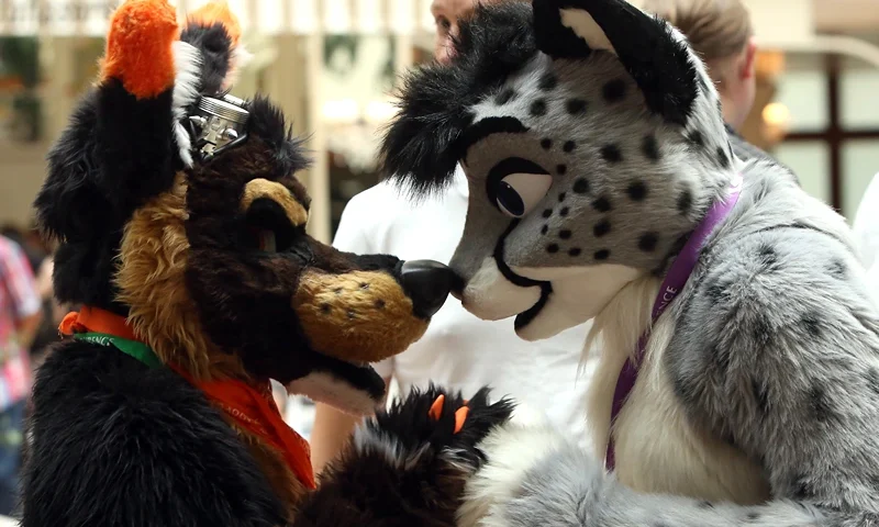 BERLIN, GERMANY - AUGUST 22: Furry enthusiasts greet one another at the Eurofurence 2014 conference on August 22, 2014 in Berlin, Germany. Furry fandom, a term used in zines as early as 1983 and also known as furrydom, furridom, fur fandom or furdom, refers to a subculture whose followers express an interest in anthropomorphic, or half-human, half-animal, creatures in literature, cartoons, pop culture, or other artistic contexts. Many but not all of the followers of the movement wear furry animal costumes. The earliest citation of anthropomorphic literature regularly cited by furry fans is Aesop's Fables, dating to around 500 BC. (Photo by Adam Berry/Getty Images)