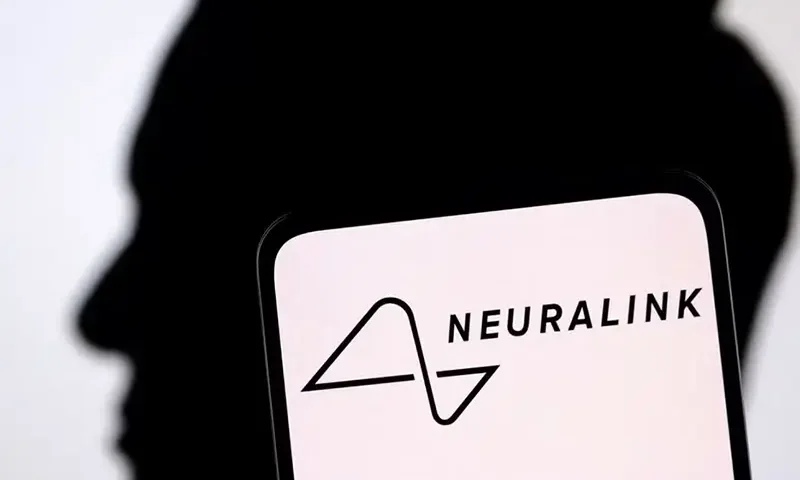 Neuralink logo and Elon Musk silhouette are seen in this illustration taken, December 19, 2022. REUTERS/Dado Ruvic/Illustration/File Photo