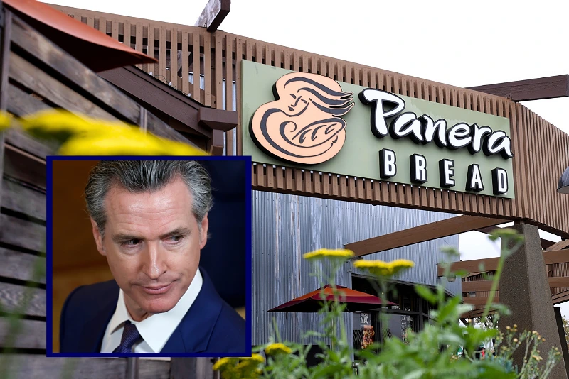 Calif: Panera Bread owner gave 4K to Newsom, business exempt from new  minimum wage law