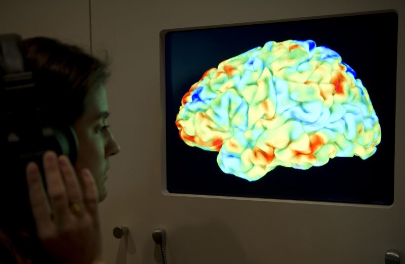 A woman looks at a functional magnetic resonance image (fMRI) showing the effect of Stravinsky's Rite of Spring and Kant's 3rd Critique on the human brain during the Wellcome Collection's major new exhibition 