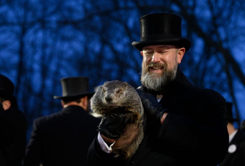 Groundhog Day: No Shadow for Punxsutawney Phil, Predicting Early Spring
