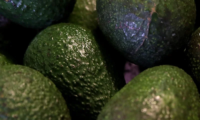 Possible Border Shutdown Would Deplete US Avocado Supply In Three Weeks SAN FRANCISCO, CALIFORNIA - APRIL 02: Avocados are displayed at a produce market on April 02, 2019 in San Francisco, California. According to the CEO of Mission Produce, the avocado supply in the United States could be depleted in three weeks if president Donald Trump follows through on his threat to shut down the border with Mexico. (Photo by Justin Sullivan/Getty Images)