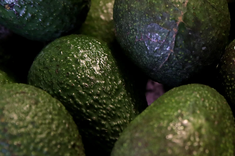 Possible Border Shutdown Would Deplete US Avocado Supply In Three Weeks
SAN FRANCISCO, CALIFORNIA - APRIL 02: Avocados are displayed at a produce market on April 02, 2019 in San Francisco, California. According to the CEO of Mission Produce, the avocado supply in the United States could be depleted in three weeks if president Donald Trump follows through on his threat to shut down the border with Mexico. (Photo by Justin Sullivan/Getty Images)
