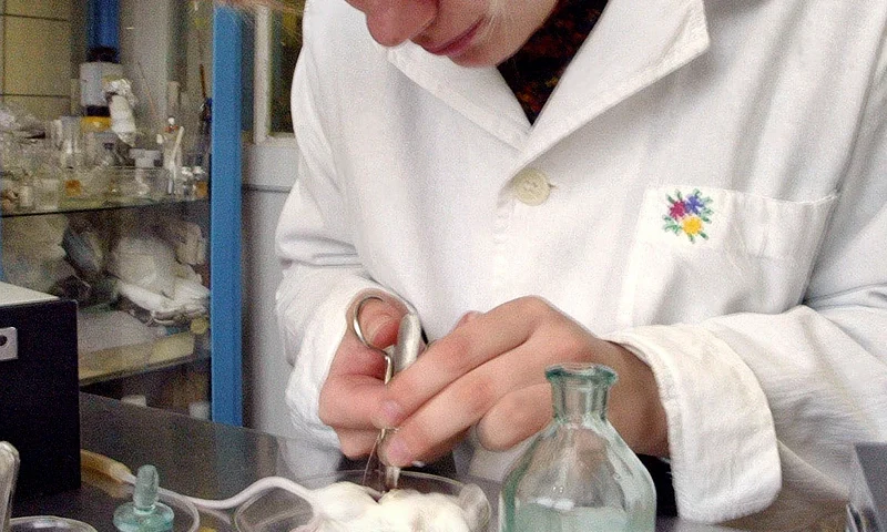 A staffer of Russia's Molecular Genetics Institute extracts mouse cells for cloning experiments in the institute's laboratory in Moscow 13 January 2003. Efforts to clone humans will produce a "monster 99 percent of the time", said deputy chief of the institute Vyacheslav Tarantul. Responding to the announcement of the first birth of a human clone, Tarantul warned that nearly all cloning efforts have led to horrific biological deformations. AFP PHOTO/ Alexander NEMENOV (Photo by ALEXANDER NEMENOV / AFP) (Photo by ALEXANDER NEMENOV/AFP via Getty Images)