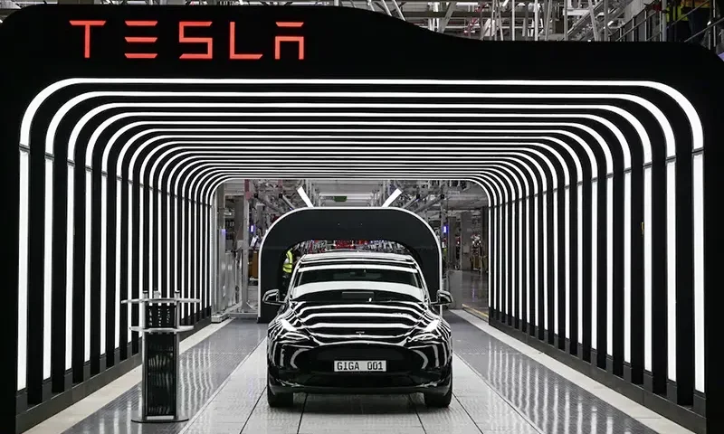 Model Y cars are pictured during the opening ceremony of the new Tesla Gigafactory for electric cars in Gruenheide, Germany, March 22, 2022. Patrick Pleul/Pool via REUTERS/File Photo