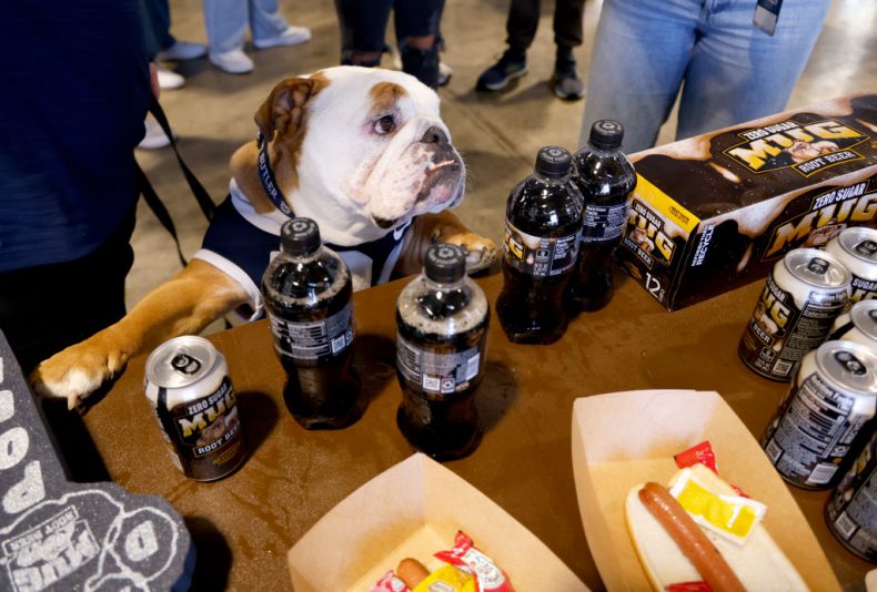 INDIANAPOLIS, INDIANA - FEBRUARY 17: Blue IV, Butler's mascot, attends as MUG Root Beer shows up for The Real Dogs Of All-Star Weekend: The Butler University Dawg Pound at Butler University on February 17, 2024 in Indianapolis, Indiana. (Photo by Brian Ach/Getty Images for MUG Root Beer)
