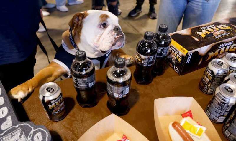 INDIANAPOLIS, INDIANA - FEBRUARY 17: Blue IV, Butler's mascot, attends as MUG Root Beer shows up for The Real Dogs Of All-Star Weekend: The Butler University Dawg Pound at Butler University on February 17, 2024 in Indianapolis, Indiana. (Photo by Brian Ach/Getty Images for MUG Root Beer)