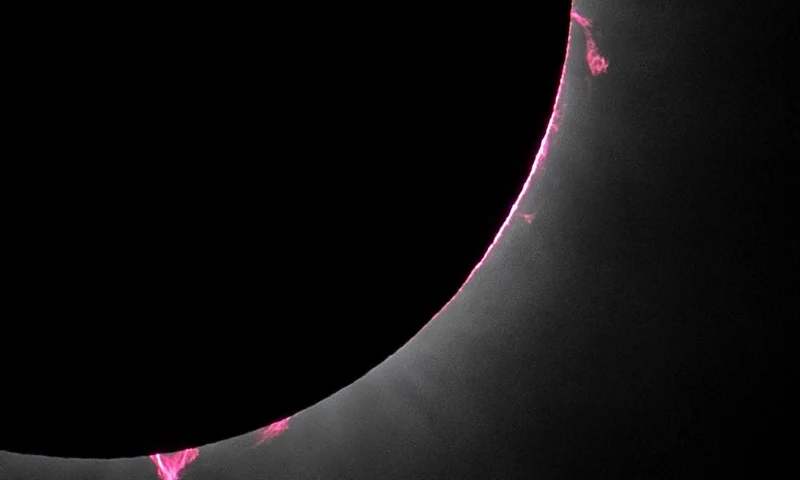 In this NASA handout, prominences from the sun are shown during a total solar eclipse that swept across a narrow portion of the North American April 8, 2024 as seen from Dallas, Texas. The eclipse could be seen from Mexico's Pacific coast to the Atlantic coast of Newfoundland, Canada. A partial solar eclipse was visible across the entire North American continent along with parts of Central America and Europe. (Photo by Keegan Barber/NASA via Getty Images)