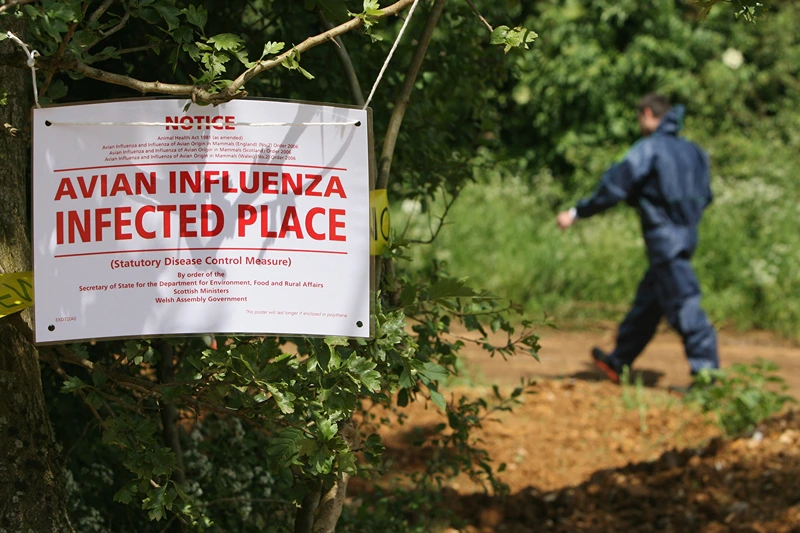 BANBURY, UNITED KINGDOM - JUNE 04: Een man in een beschermend lichaamspak loopt langs een bord dat waarschuwt voor een uitbraak van de H7-stam van vogelgriep, op Eastwood Farm, vlakbij Banbury op 4 juni 2008 in Oxfordshire, Engeland. De stam van het vogelgriepvirus werd gisteren aangetroffen bij legkippen en alle vogels op de boerderij moesten worden vernietigd. De H7-stam is al verschillende keren aangetroffen in Groot-Brittannië, maar dit is de eerste keer dat de hoogpathogene, of dodelijke, vorm is vastgesteld. (Foto door Matt Cardy/Getty Images)
