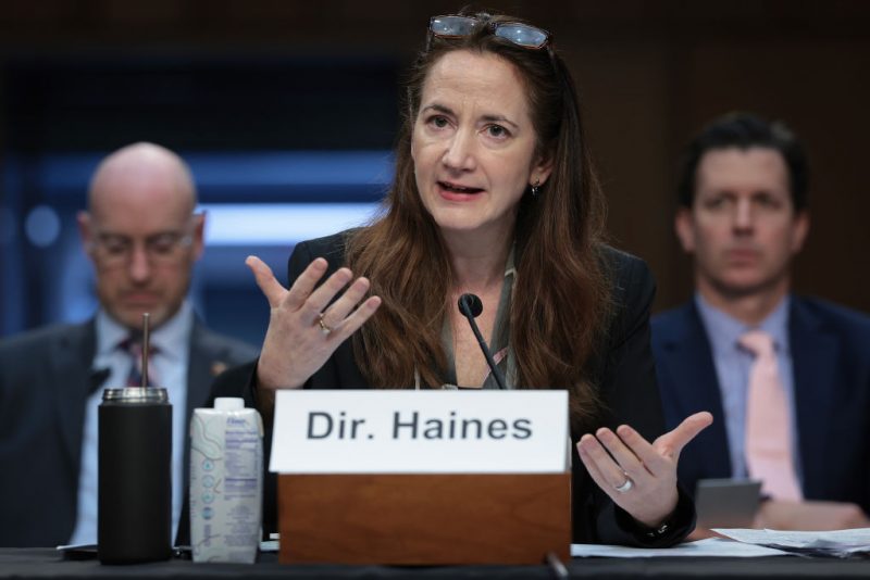 WASHINGTON, DC - MAY 02: Director of National Intelligence Avril Haines testifies before the Senate Armed Services Committee May 2, 2024 in Washington, DC. The committee heard testimony on worldwide threats during the hearing.  (Photo by Win McNamee/Getty Images)